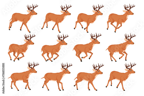 Deer Smooth Run Cycle Animation 2d Vector Illustration © Rubel