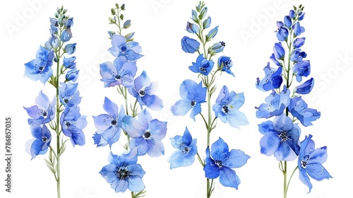 Watercolor delphinium clipart with tall spikes of blue flowers.