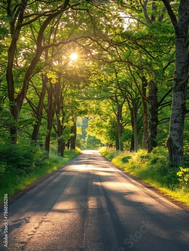 Renewable road trip under sun-kissed trees