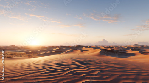 desert landscape