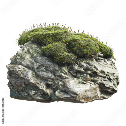 Green moss on rock isolated on white background