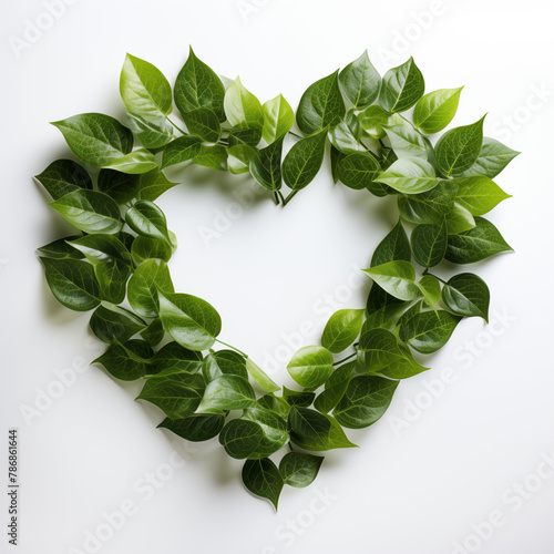 Wheath of fresh green leaves in heart shape isolated on white background with copy space