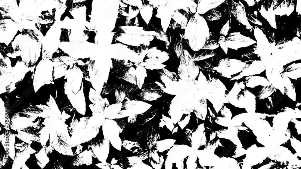 Nature elements in Motion - for Matte, Overly, Transitions and Grunge Nature elements in Motion - for Matte, Overly, Transitions and Grunge