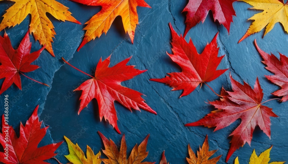 Autumn background with colored red leaves on blue slate background. Autumn background with colored red leaves on blue slate background.