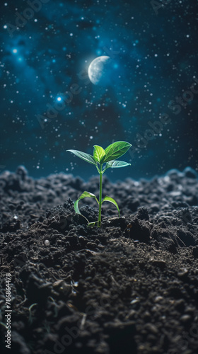 A solitary seedling emerges from the moonlit soil, a symbol of life's resilience against a cosmic backdrop, inviting reflection on growth and the universe's wonders.
 photo