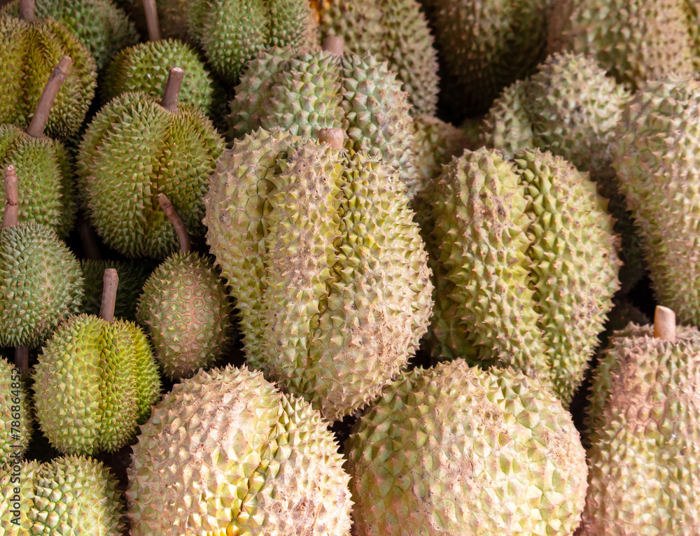 Durian fruit as background. Close-up Durian fruit as background. Close-up