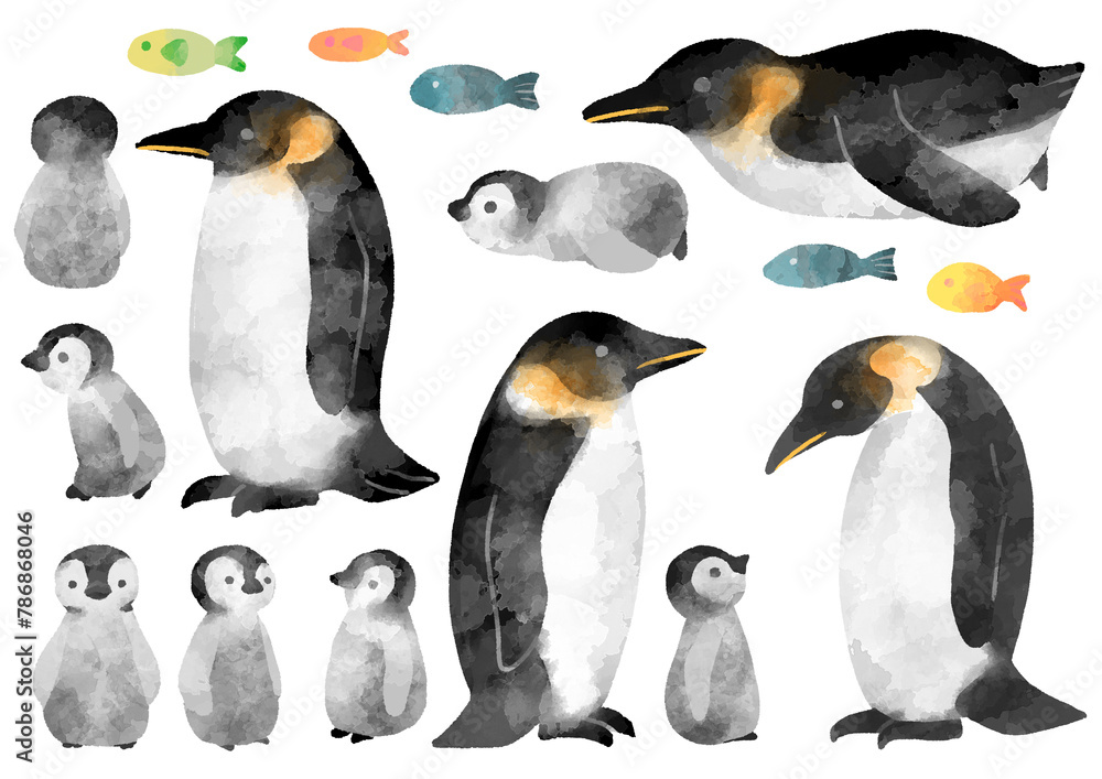Fototapeta premium 皇帝ペンギンの親子のイラスト 水彩風 手描き