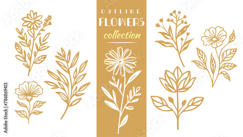 Nature floral, plant elements. Organic leaf and branches. Summer art. Vector graphic. Doodles. Floral doodle style motif.