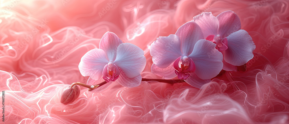 Obraz premium a two pink orchids on a pink background with a soft light