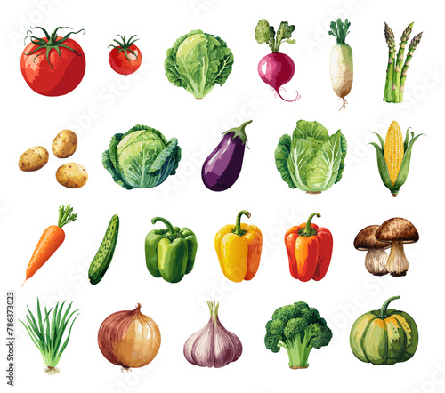 手描き風の野菜のイラストセット