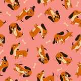 Seamless pattern with cute dachshunds and bones. Vector graphics.