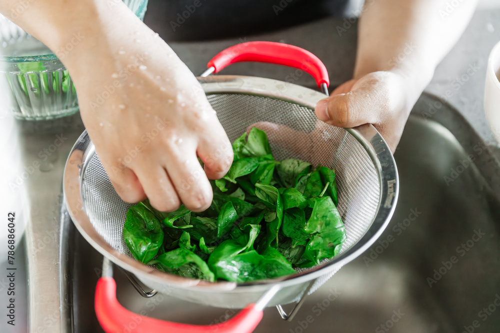 Washing Fresh Basil Herbs for Cooking Washing Fresh Basil Herbs for Cooking