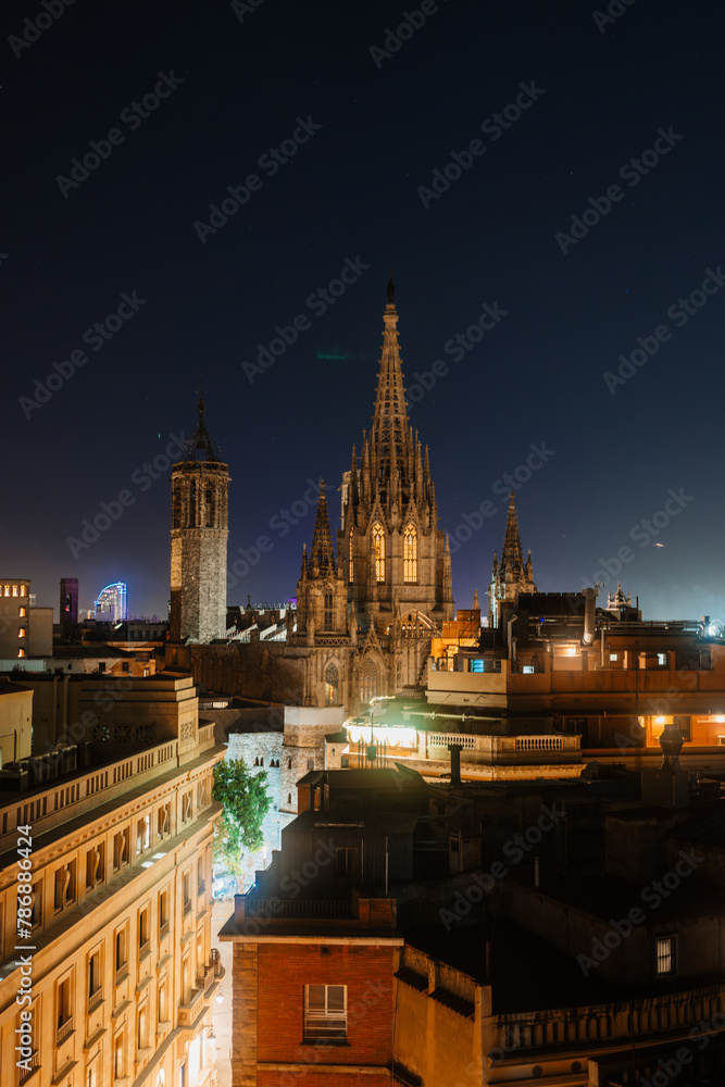 Fototapeta premium Cathedral of Barcelona at Night with City Lights