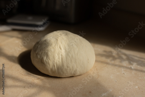 Freshly formed sourdough boule sits on kitchen countertop