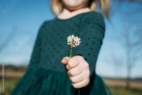 Little girl holding out white clover flower during spring day photo