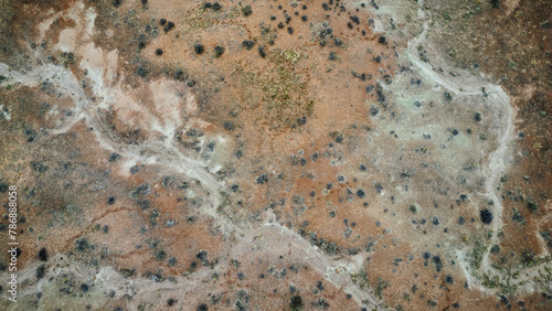 Textured desert scrubland, Utah's natural tapestry