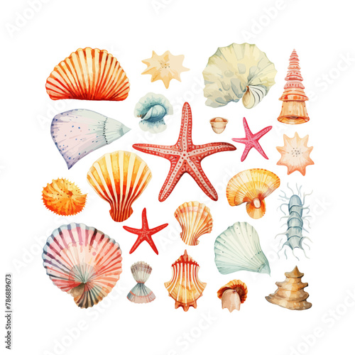Colorful Watercolor Seashell and Starfish. Vector illustration design.
