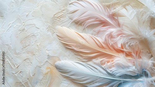 Elegant feather arrangement in soft pastels for luxurious decor, set against a matte ivory backdrop