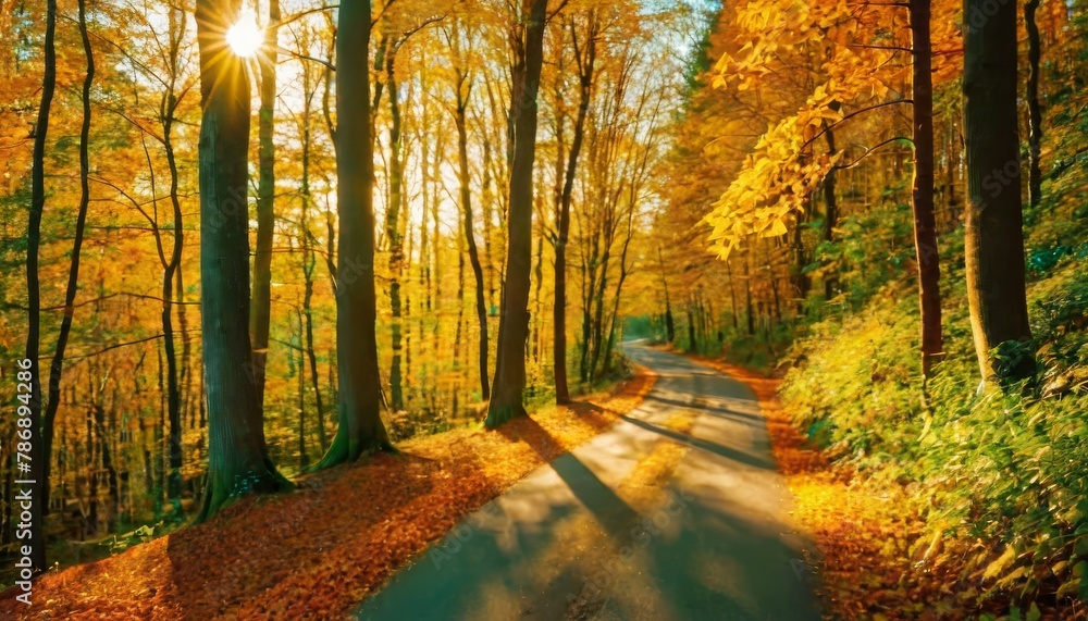 Fototapeta premium Spectacular autumn countryside with a road path through a dense forest and bright golden sunlight. Forest in shades of orange and teal in the fall.