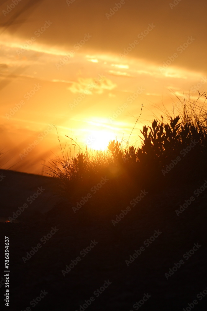 Fototapeta premium sunset in the mountains