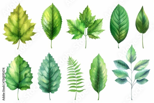 Set of green leaves in watercolor style