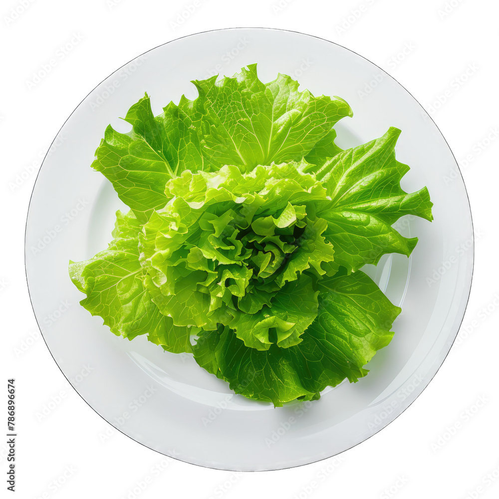 Lettuce on white plate isolated on white background Lettuce on white plate isolated on white background