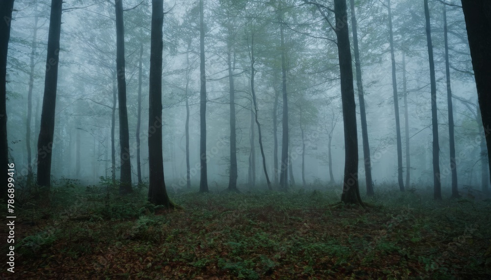 Obraz premium Mysterious forest with a moonlit path fog and a Halloween backdrop hint
