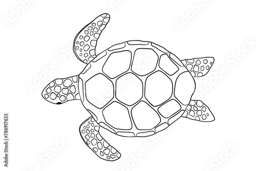 Vector outline swimming turtle isolated on white background. Hand drawn line doodle illustration ocean or underwater animal