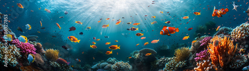 Vibrant Coral Reef Ecosystem Underwater