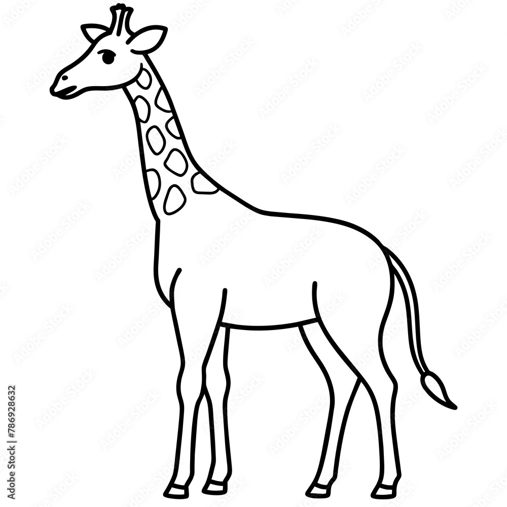 Fototapeta premium giraffe isolated mascot,giraffe silhouette,giraffe vector,icon,svg,characters,Holiday t shirt,black giraffe drawn trendy logo Vector illustration,giraffe line art on a white background