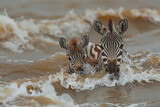 An image depicting the poignant moment when a zebra mother guides her foal through the treacherous w