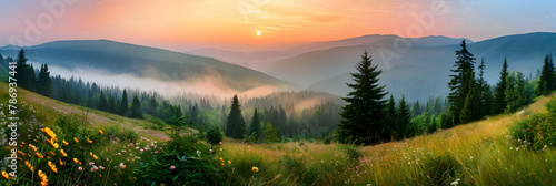 A panoramic view of the Carpathian Mountains at sunrise, with mist rolling over hills covered in wildflowers and pine forests