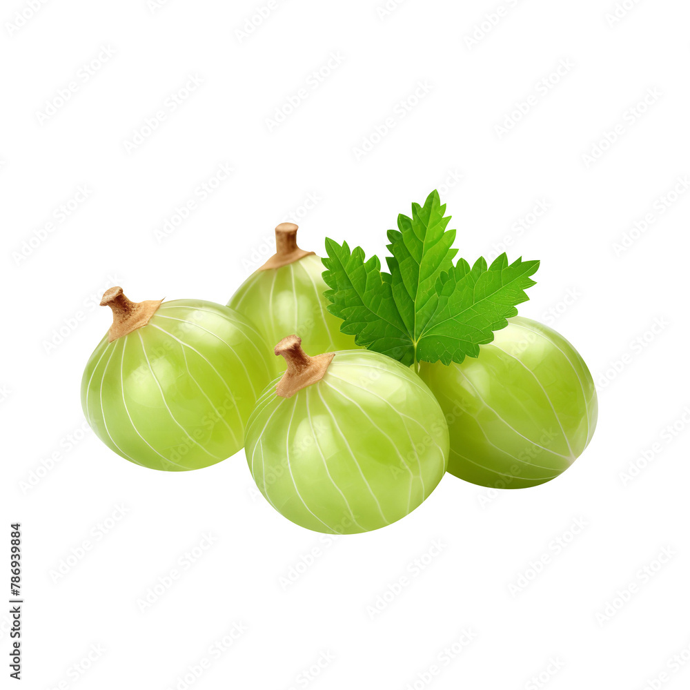 Natural and Fresh Gooseberries isolated on white background
Natural and Fresh Gooseberries isolated on white background