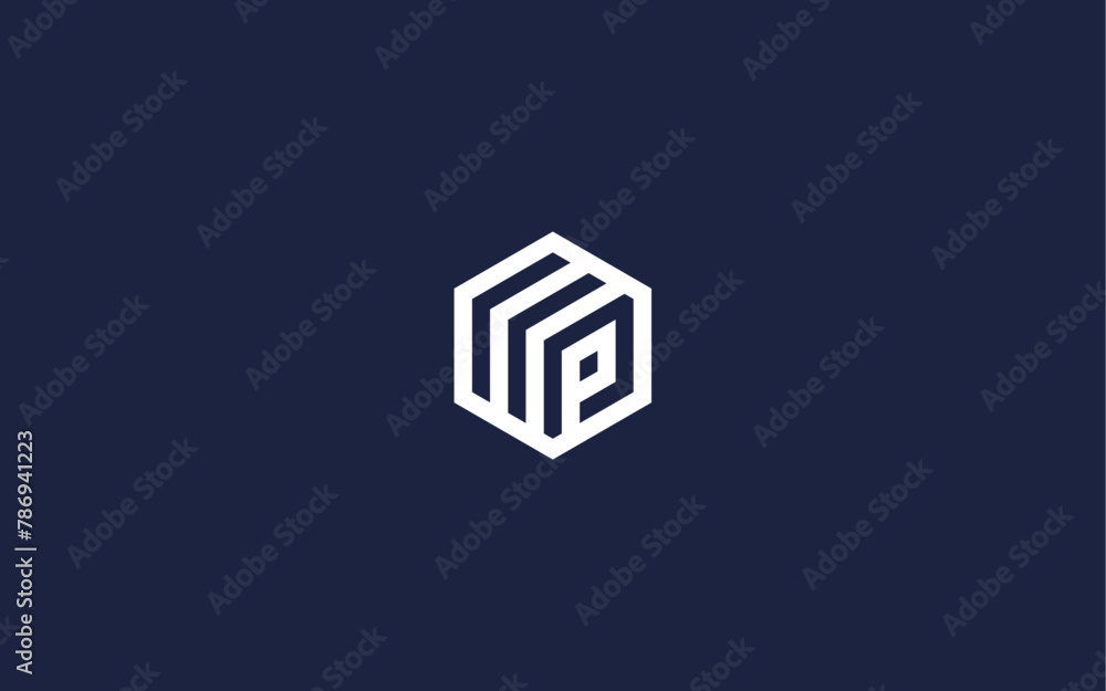 letter p with hexagon logo icon design vector design template inspiration letter p with hexagon logo icon design vector design template inspiration