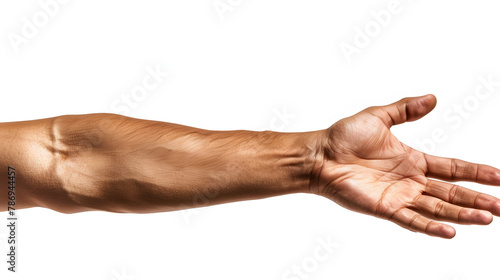 Hand Reaching Out - Isolated White Background. Human Arm Closeup Concept for Reaching Up