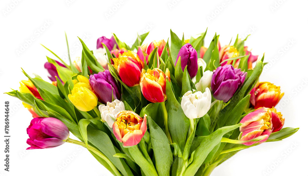 Obraz premium Bunter Tulpen Blumenstrauss isoliert auf weißen Hintergrund, Freisteller 