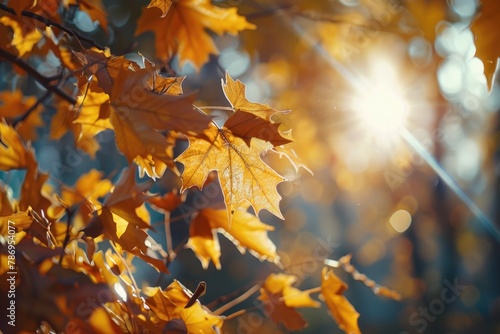 Sunlight filtering through tree foliage  ideal for nature concepts