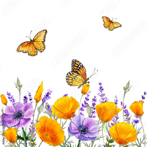 Wildflowers california poppies, anemones and lavender border. Wildherbs template, watercolor orange and blue flowers. photo