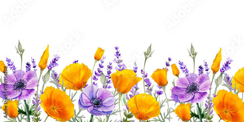 Wildflowers california poppies, anemones and lavender border. Wildherbs template, watercolor orange and blue flowers.