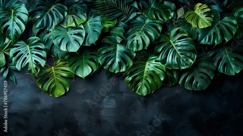 An artistic layout of monstera leaves in deep green, spread elegantly over a matte black background, creating a striking contrast with significant negative space