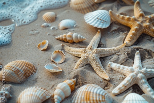 Seashells and starfish scattered on a sandy beach  perfect for summer vacation concepts