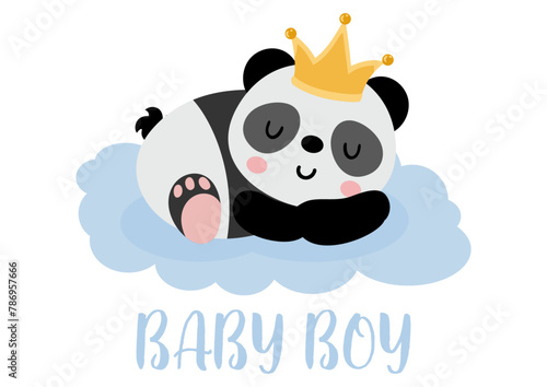 Cute prince panda baby boy