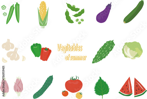 テクスチャーのある夏野菜のセット