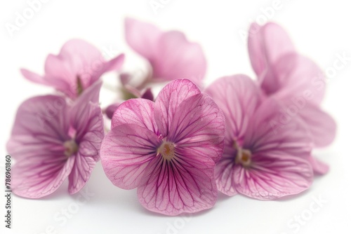 A bunch of pink flowers on a white surface. Perfect for spring or feminine themes