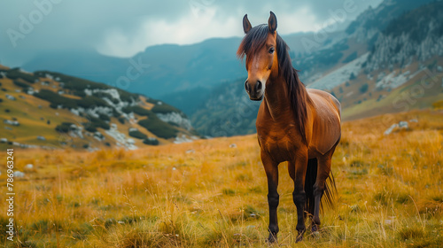 A brown horse in a mountain meadow, realistic style, under a cloudy sky, concept of wildlife and nature. Generative AI
