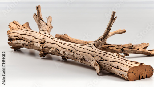 a piece of driftwood