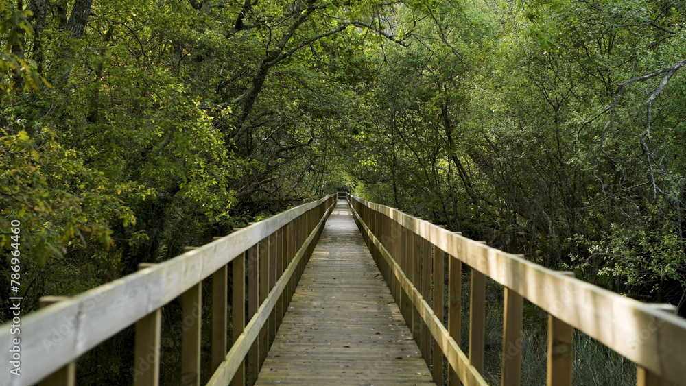 Wooden pathway in Lagoas de Bertiandos