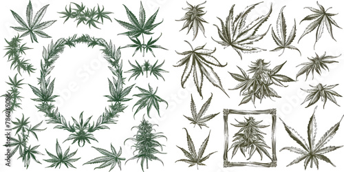  Hand drawn cannabis plant, sketch hemp leaf and marijuana seeds frames