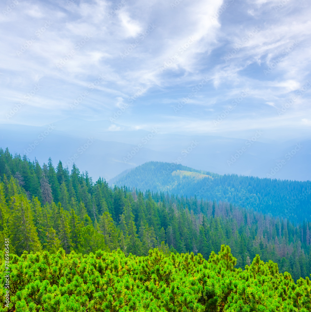 Fototapeta premium green mountain valley under blue cloudy sky