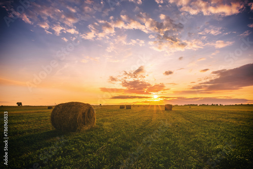 A field with haystacks on a summer or early autumn evening with a cloudy sky. Procurement of animal feed in agriculture. Rural landscape at sunset or sunrise.